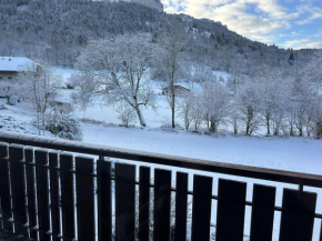 Studio thollon-les-mémises Thollon